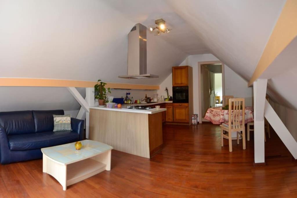 Gite Gretel De La Ferme Du Schneeberg Wangenbourg-Engenthal Екстер'єр фото