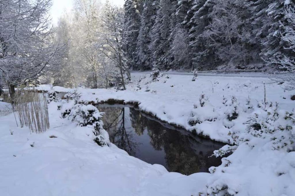 Gite Gretel De La Ferme Du Schneeberg Wangenbourg-Engenthal Екстер'єр фото