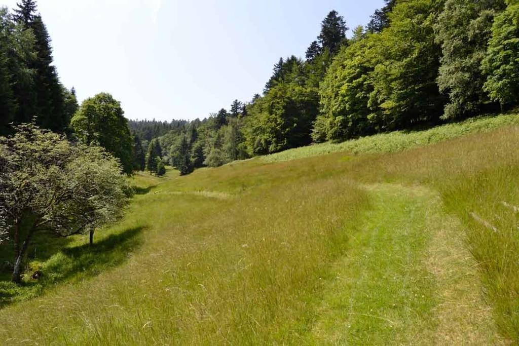 Gite Gretel De La Ferme Du Schneeberg Wangenbourg-Engenthal Екстер'єр фото