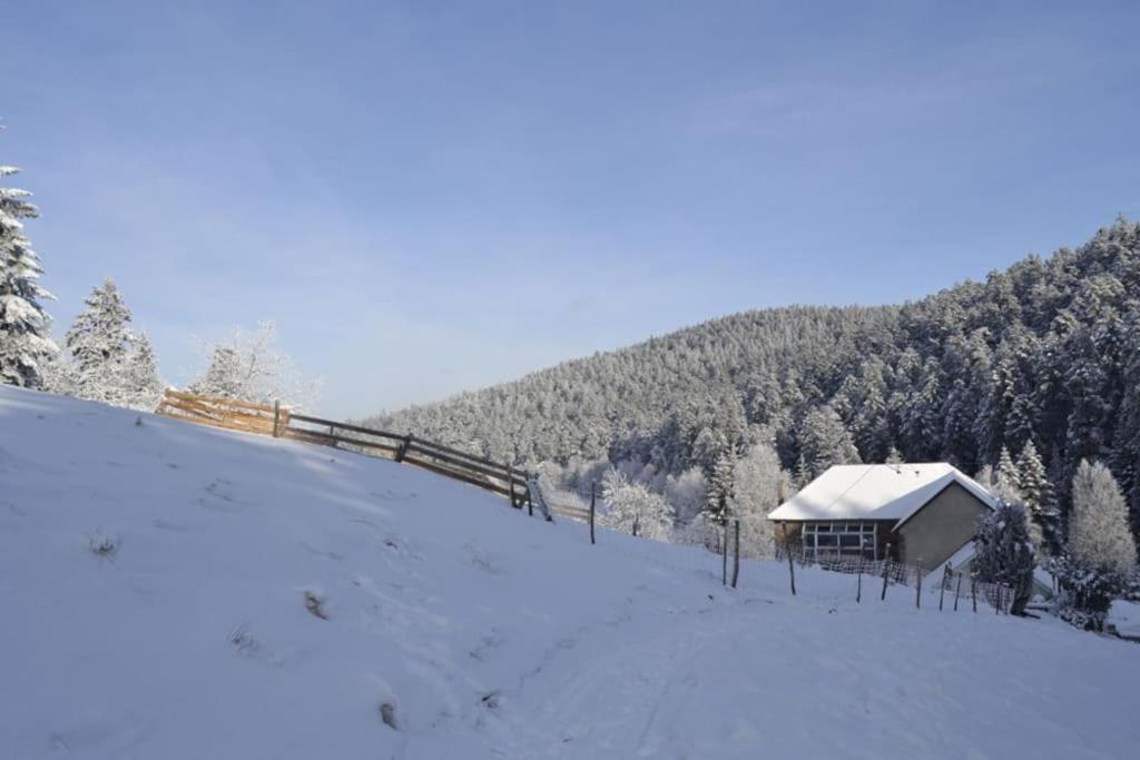 Gite Gretel De La Ferme Du Schneeberg Wangenbourg-Engenthal Екстер'єр фото