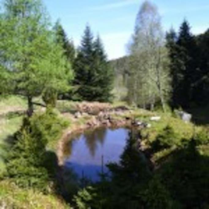 Gite Gretel De La Ferme Du Schneeberg Wangenbourg-Engenthal Екстер'єр фото